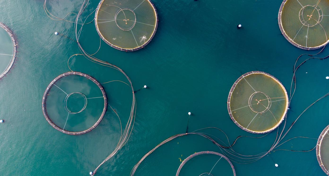 Aquaculture site