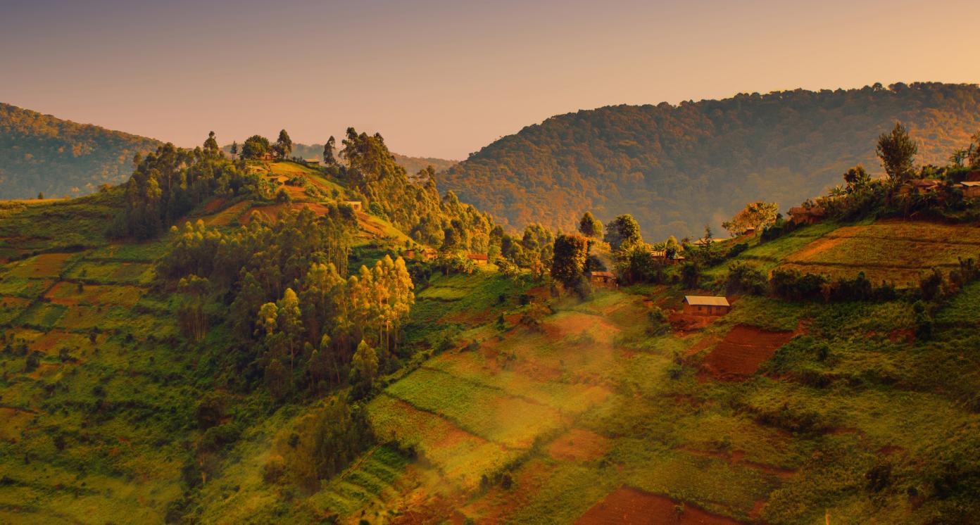 Beautiful landscape in southwestern Uganda, at the Bwindi Impenetrable Forest National Park, at the borders of Uganda, Congo and Rwanda. The Bwindi National Park is the home of the mountain gorillas.