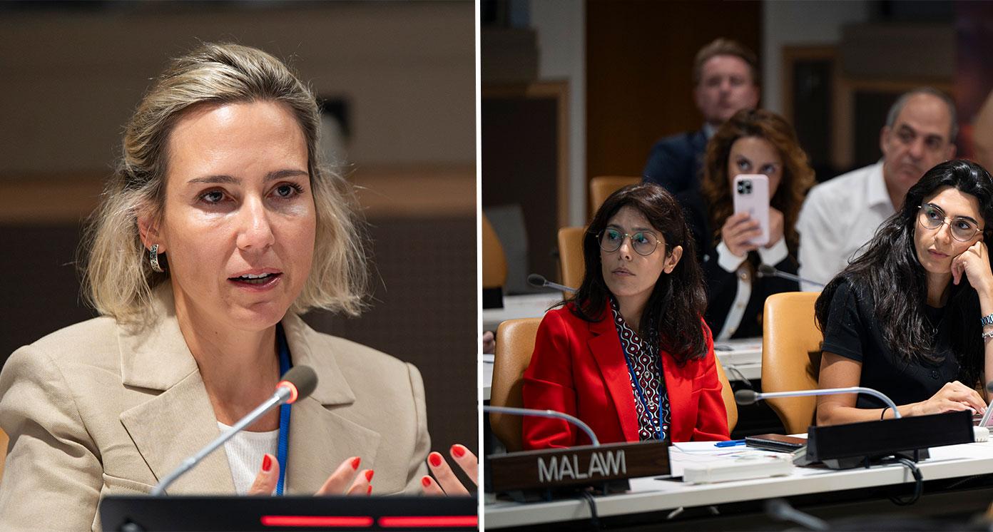 Şebnem Şener, Head of Private Finance for the SDGs at UNDP