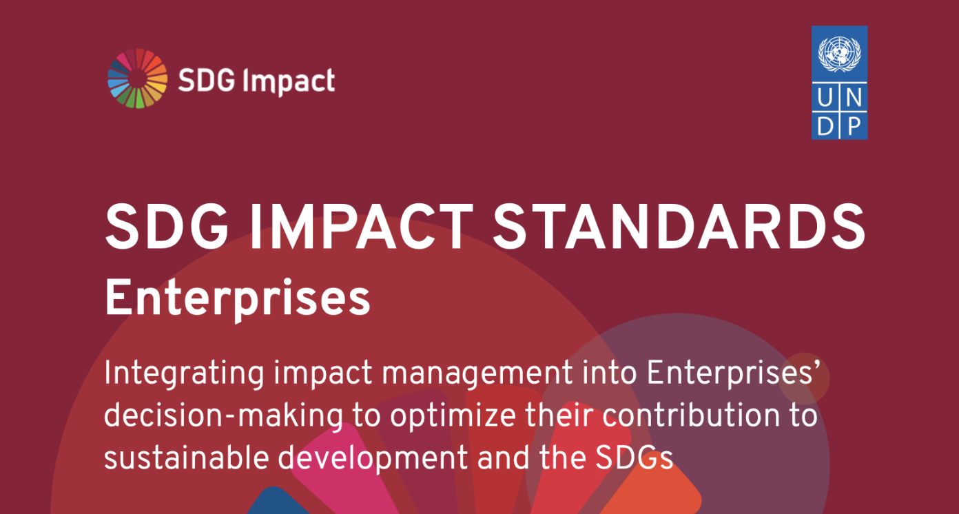 UNDP SDG Impact Standards for Enterprises cover