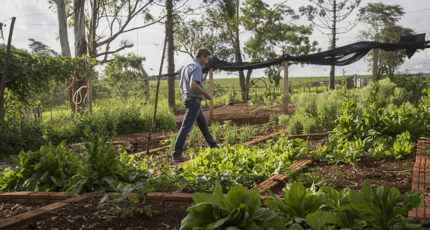 Sustainable soya production in Paraguay