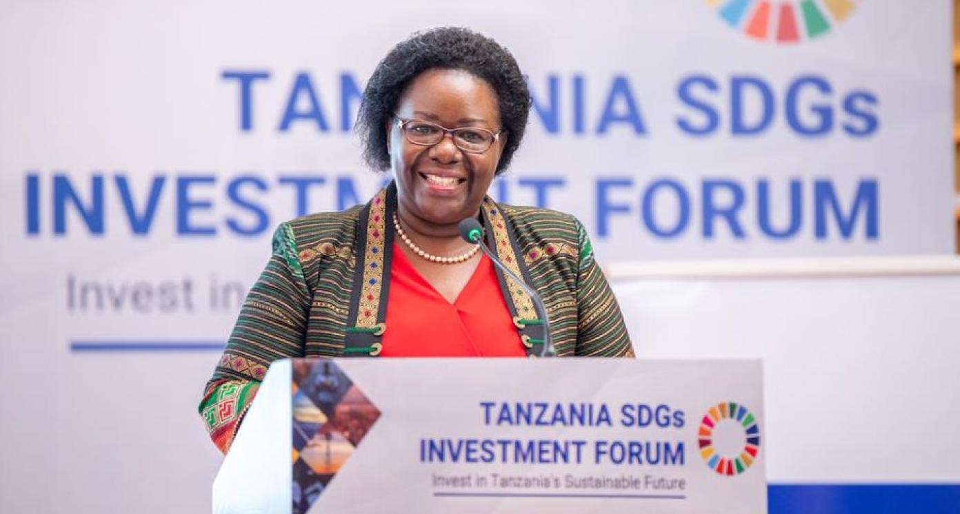 Tanzania SDG Investment Forum