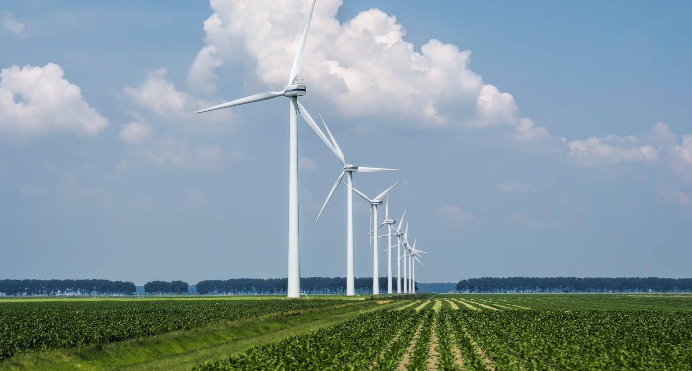 Wind Plants