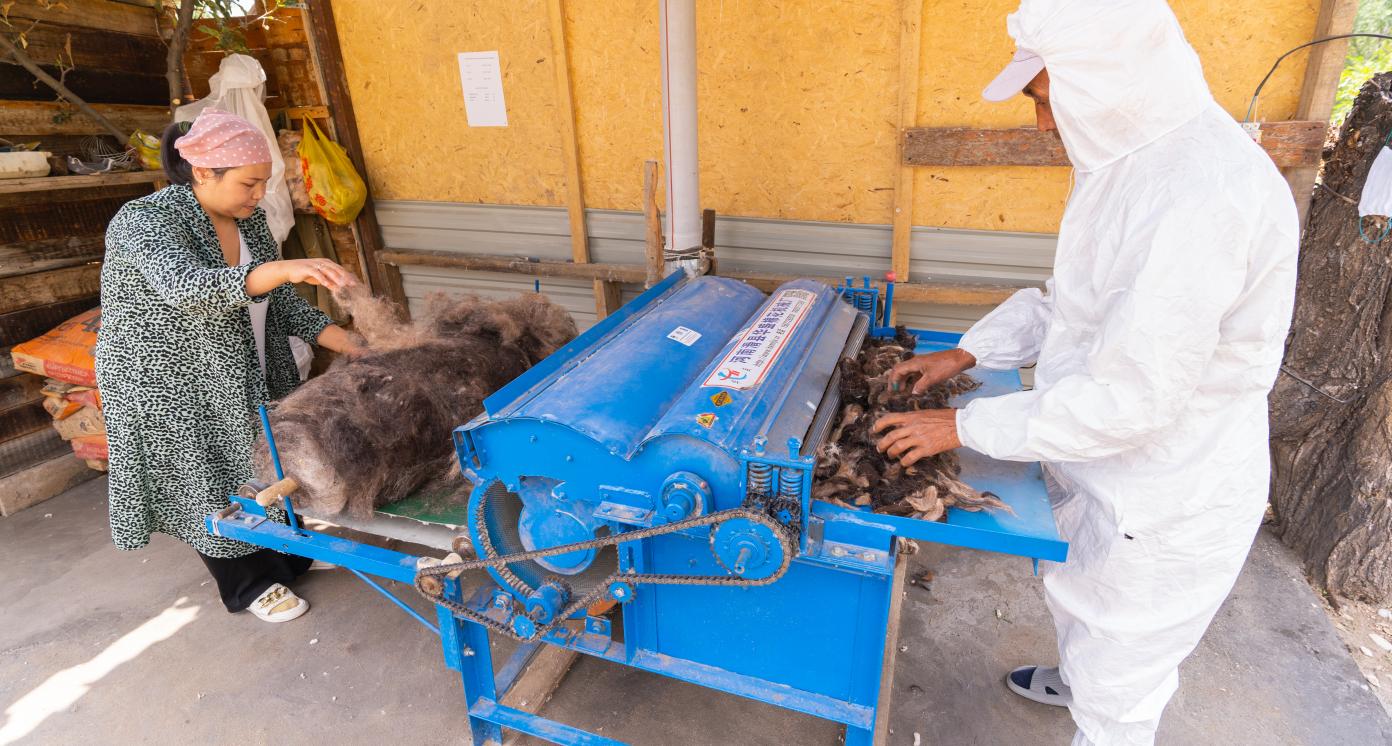 Wool Processing Employment Center for Rural Women