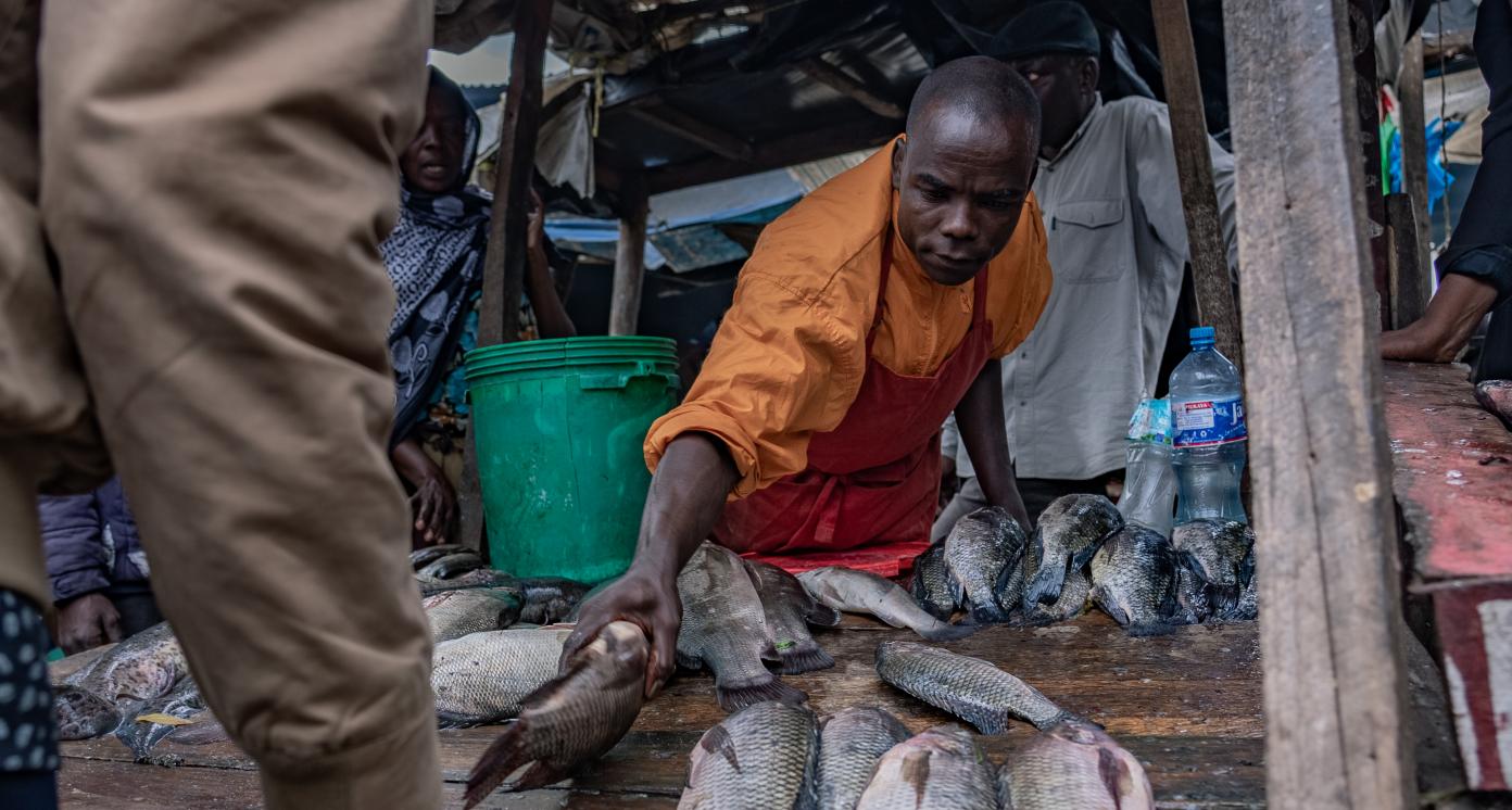 Affordable Financing Options for Artisanal Fishing