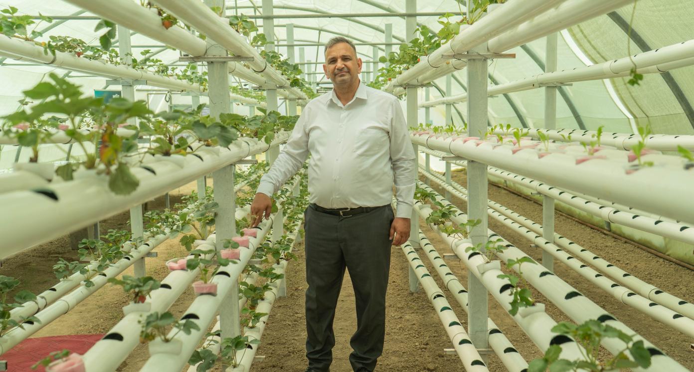 Mid-Tech Greenhouses