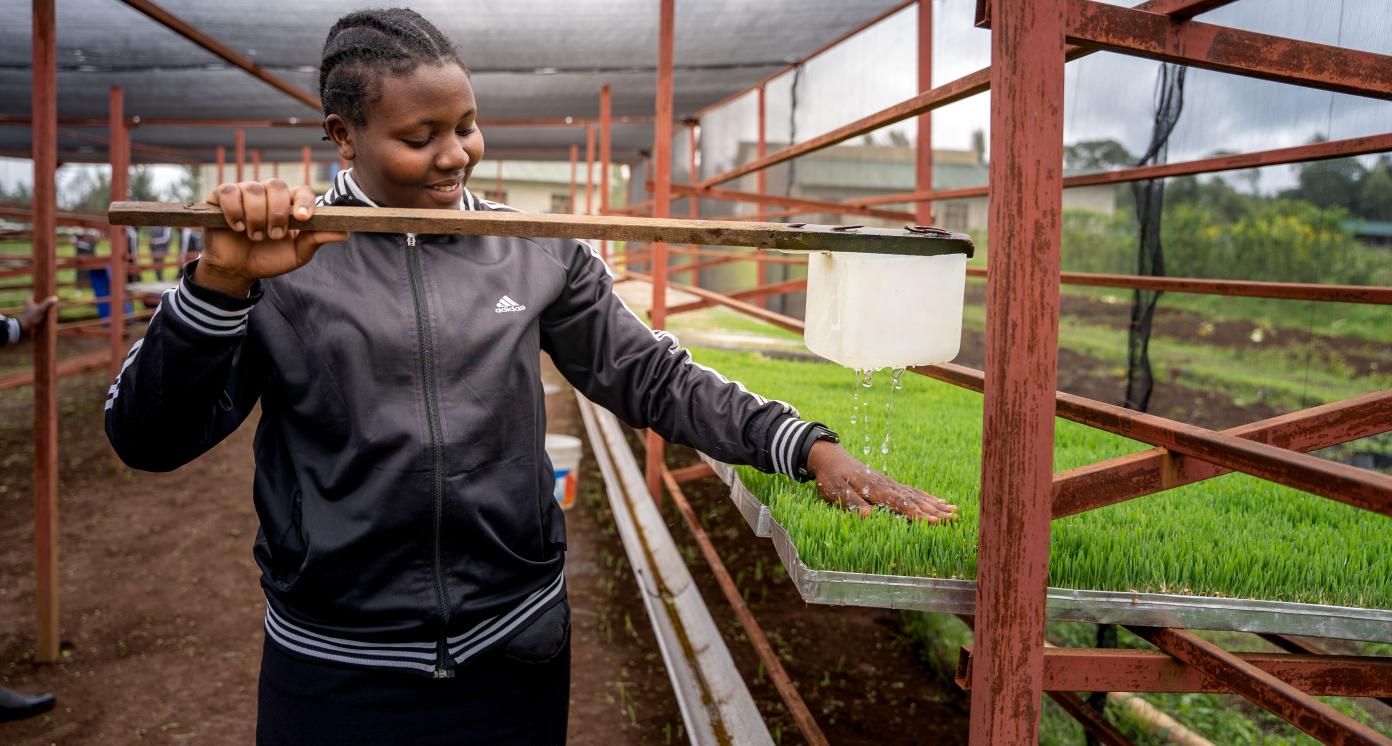 Horticulture Storage and Transport Infrastructure