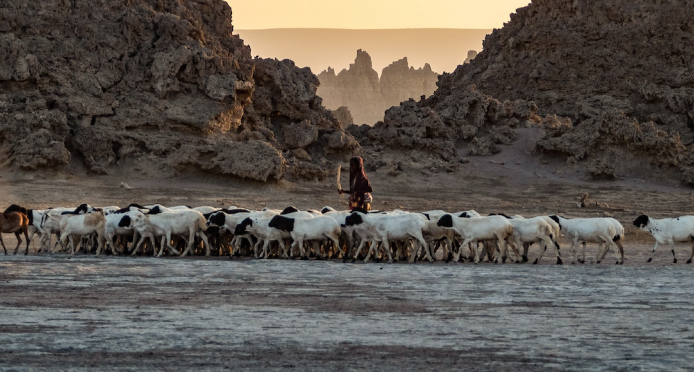 Lac Abbe, Djibouti