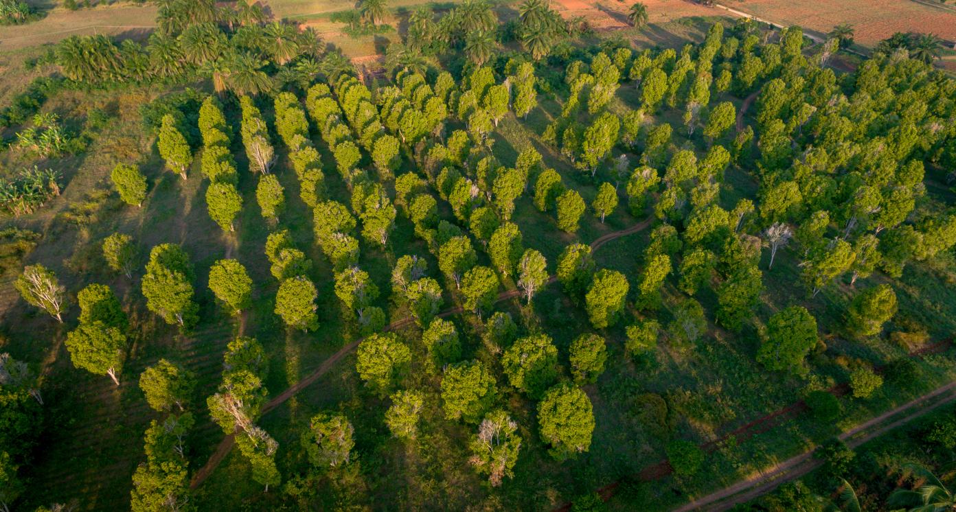 Solar Powered Irrigation Systems