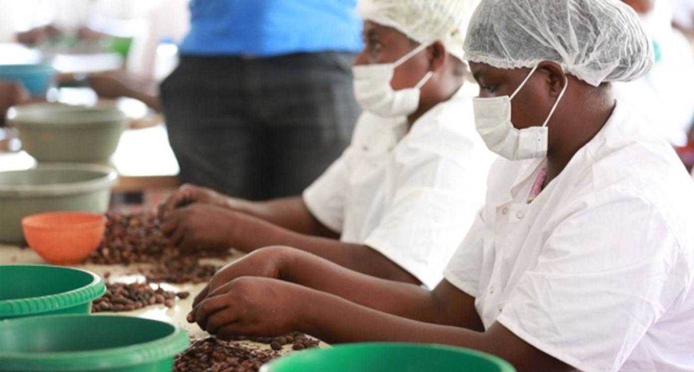 Processing of high value add products derived from cashew nuts and peanuts