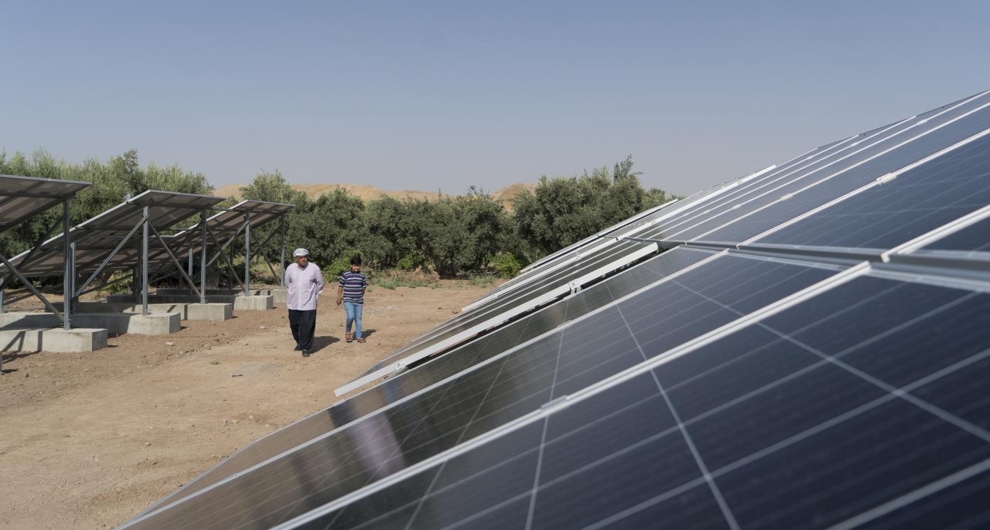 Utility-Scale Solar Farms