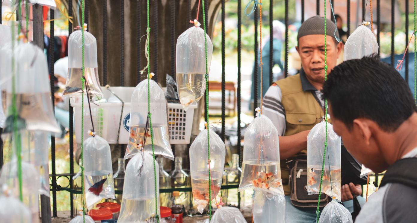 Small business in Indonesia