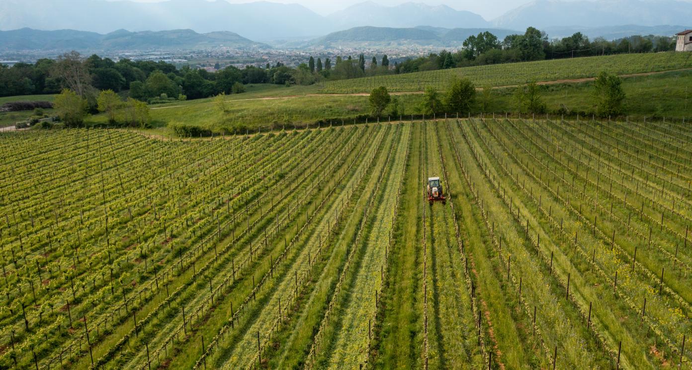 Agricultural field 