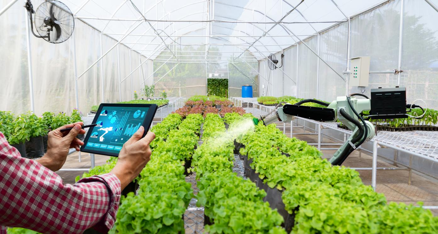 Robotic arm watering crops