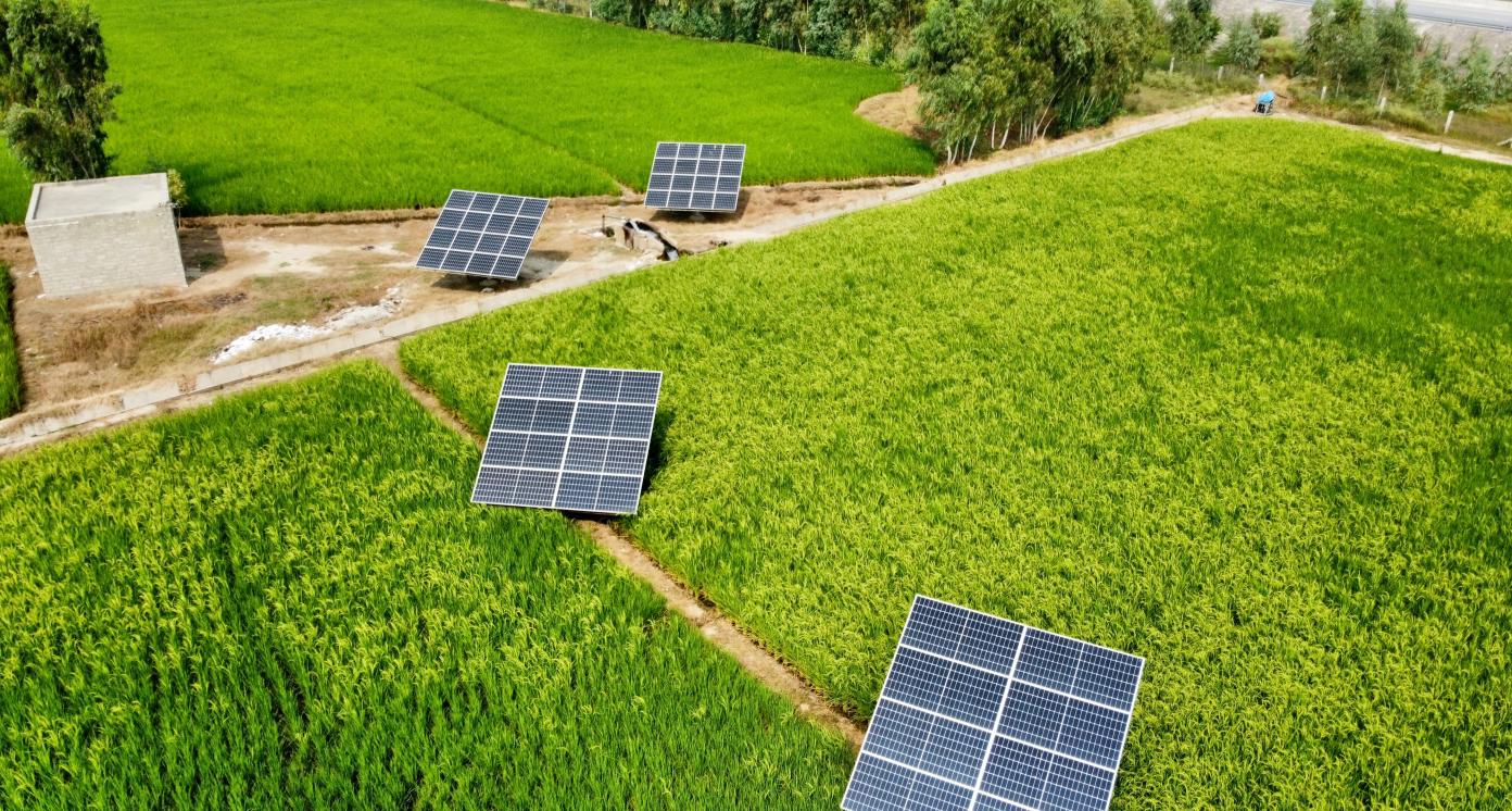 solar panels on a field