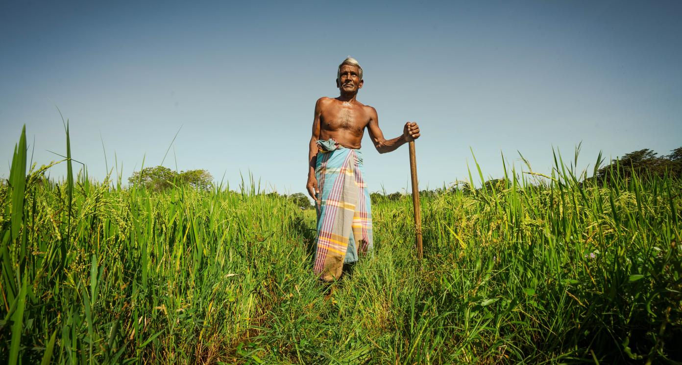 Farmer in Sri Lankan farmland