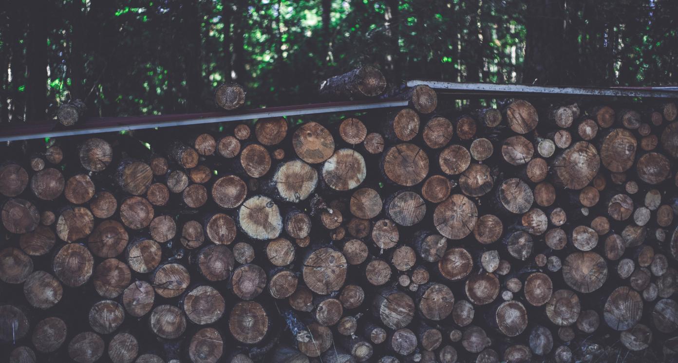 Stacked logs of wood