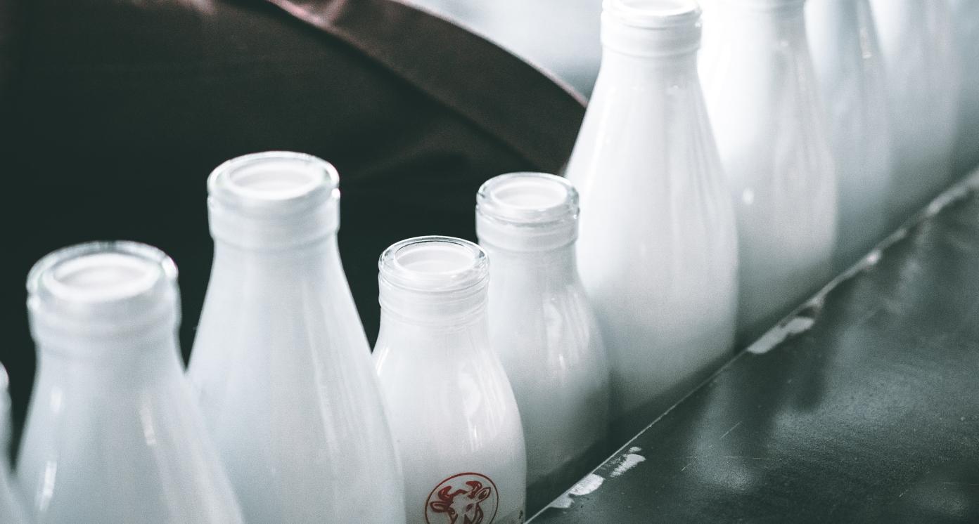 Lined up milk bottles