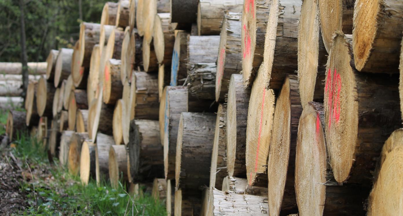 Stacked woodlogs