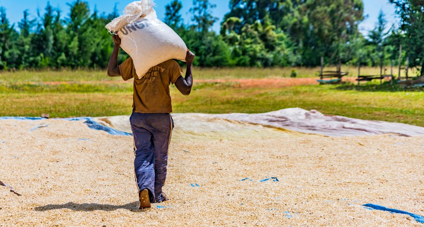 Animal feed production