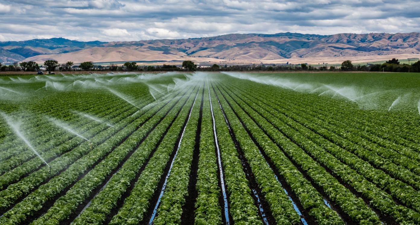 Irrigation