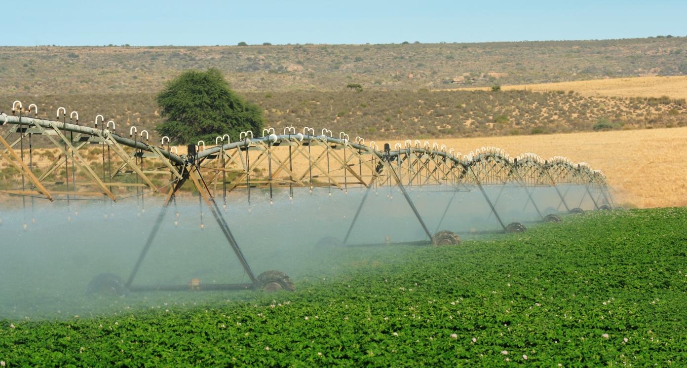 Water efficient agro-processing solutions 