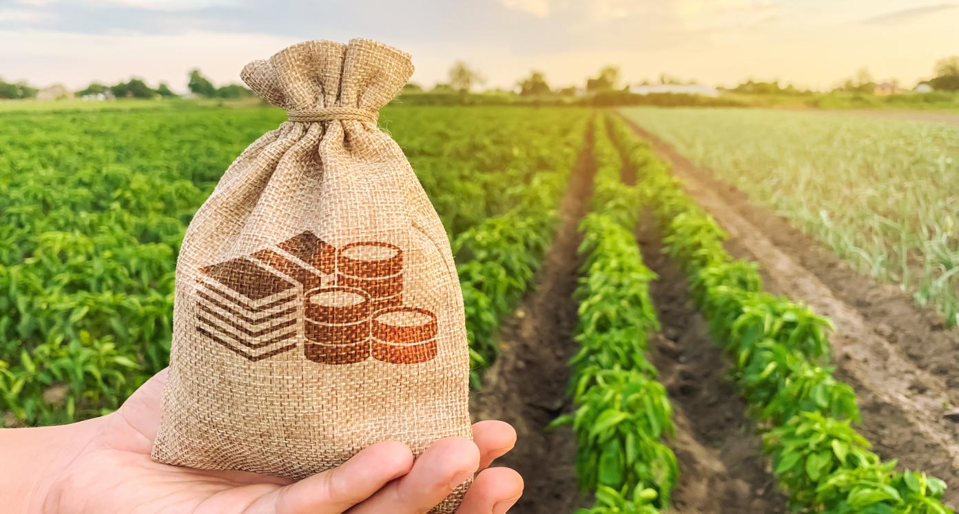 agriculture financing