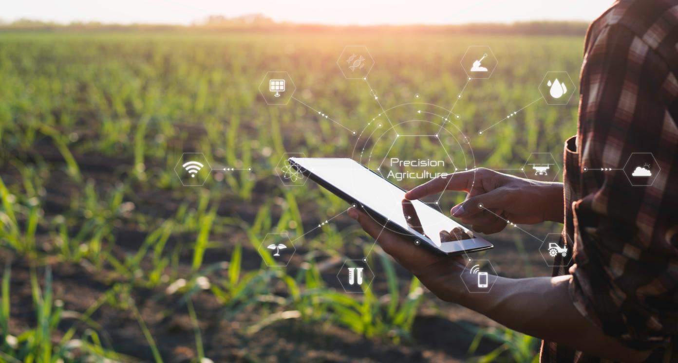 Use of technology to improve agricultural efficiency. 