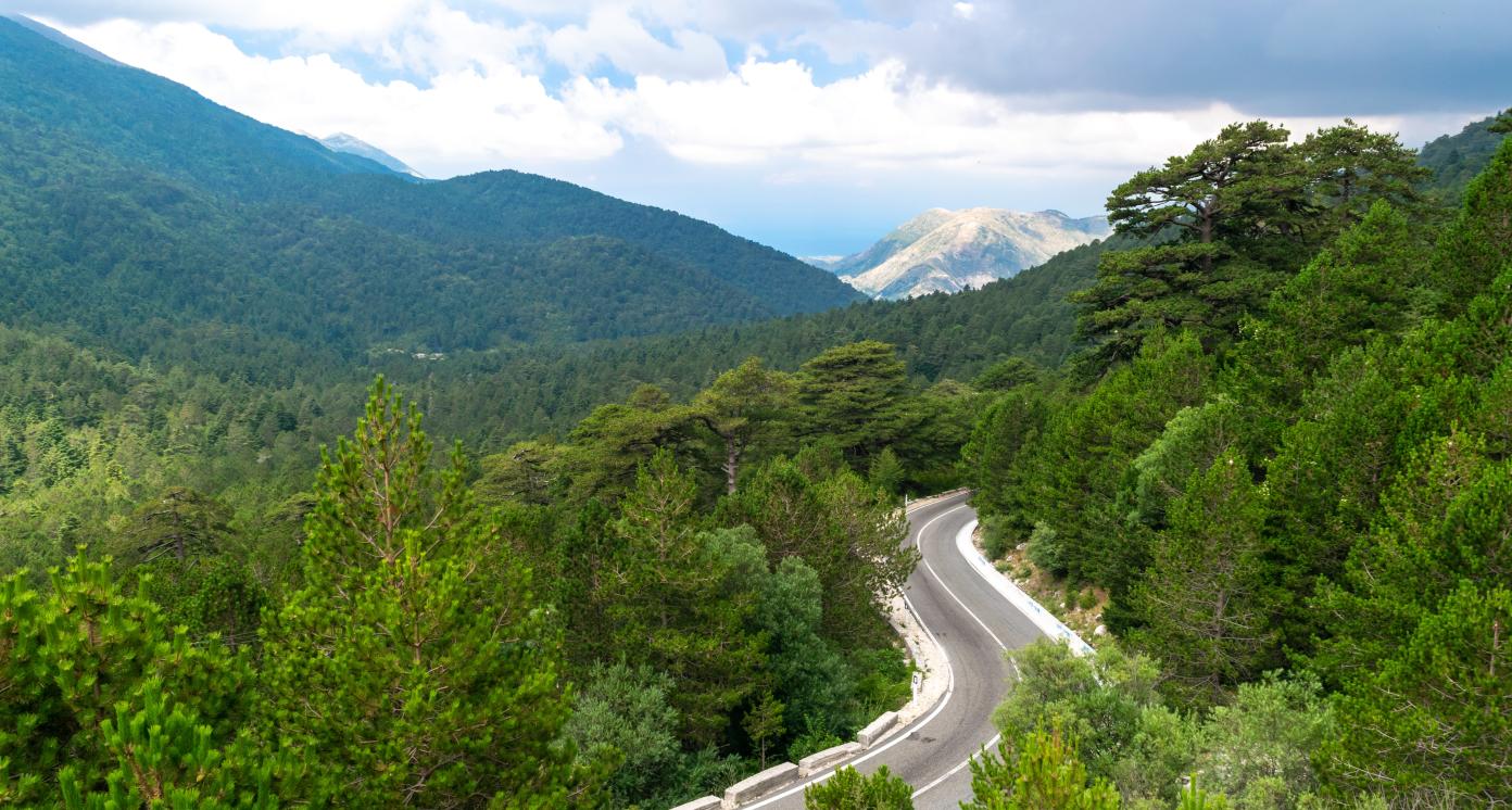 Winding road to the Llogara Pass high in the green wooded mountains. View from the highlands. Cloudy summer landscape. Albania.