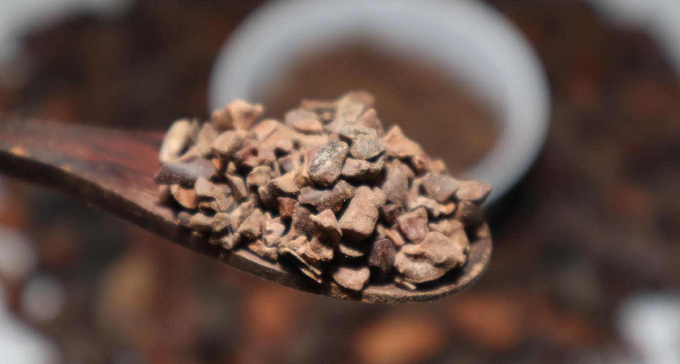 cocoa nibs from fermented cocoa beans cocoa product