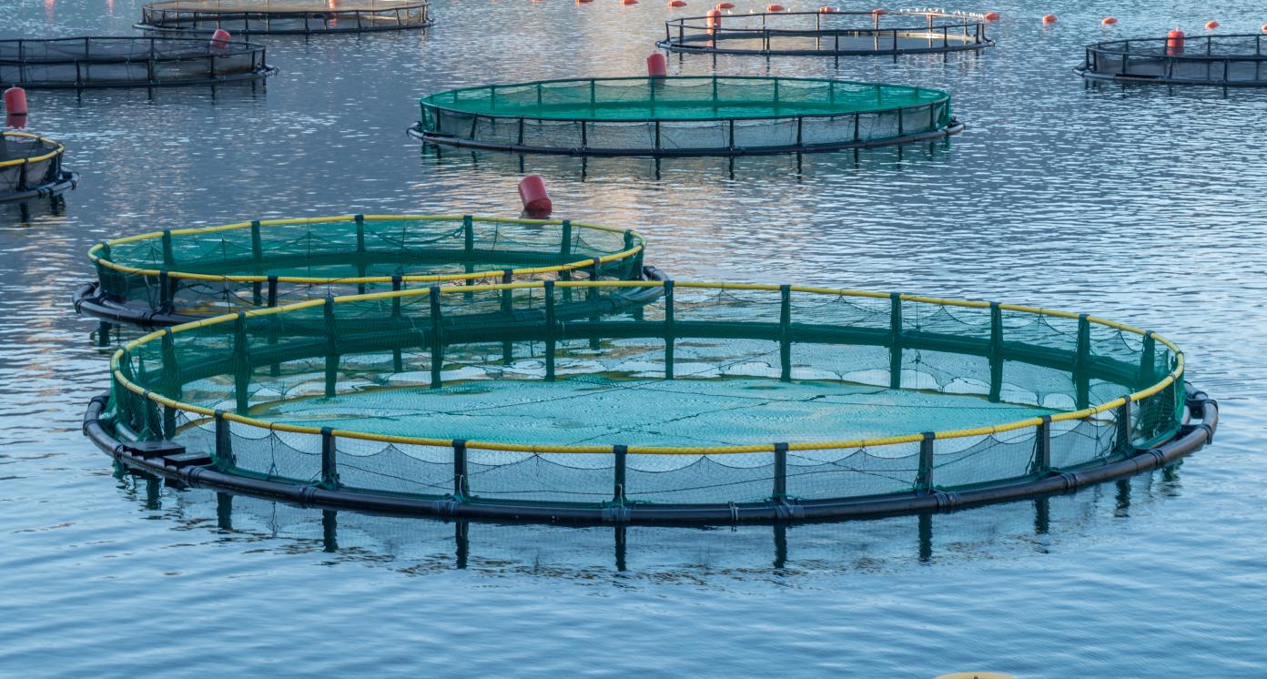 Ponds for aquaculture