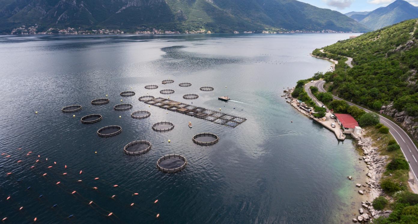 Aquaculture coastal farms