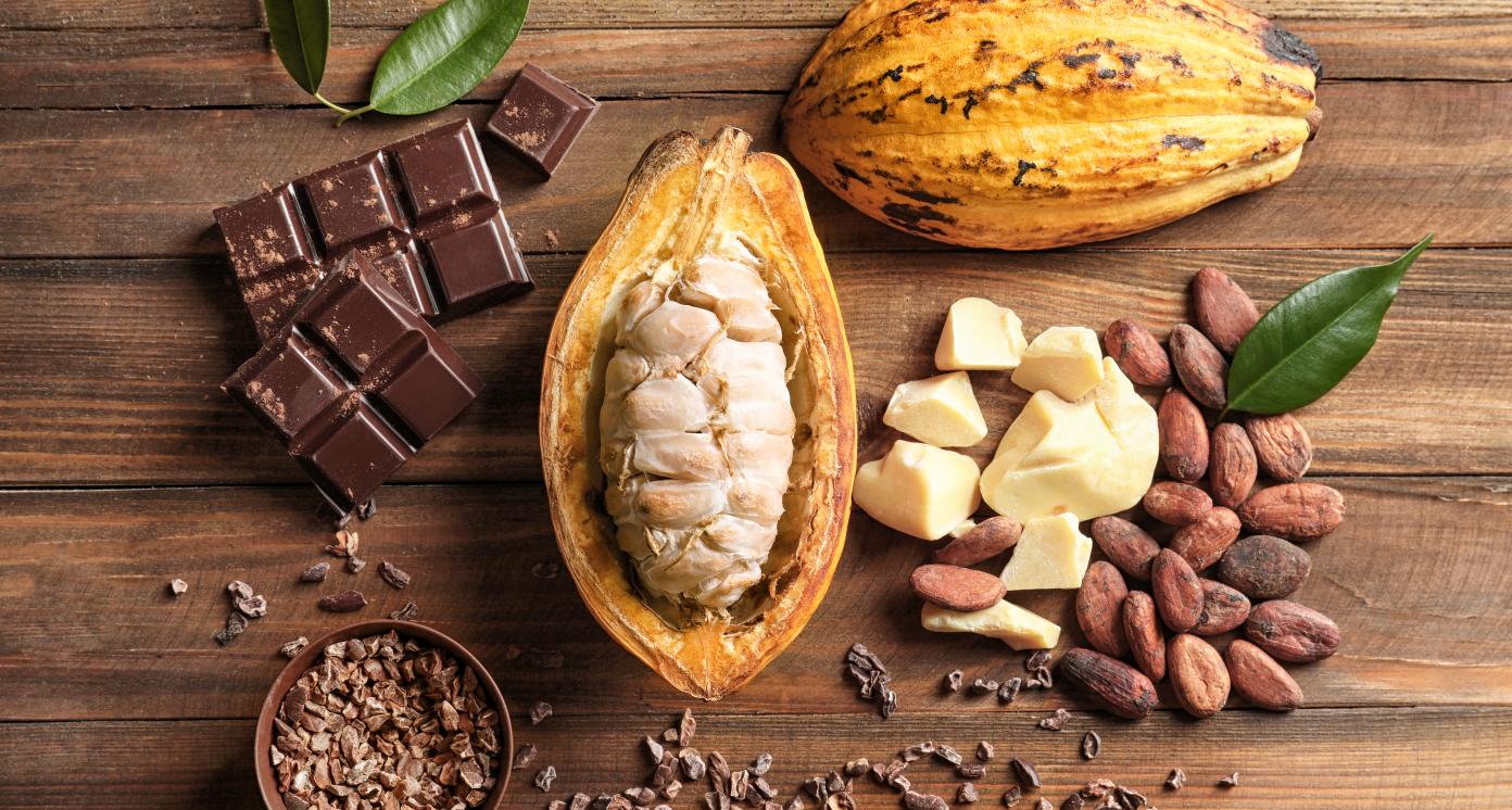 Cocoa pod, cocoa butter, cocoa beans and nibs, chocolate bar