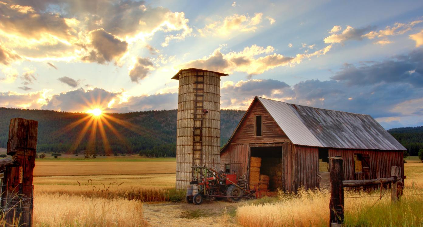 A house on a perfect sunny day