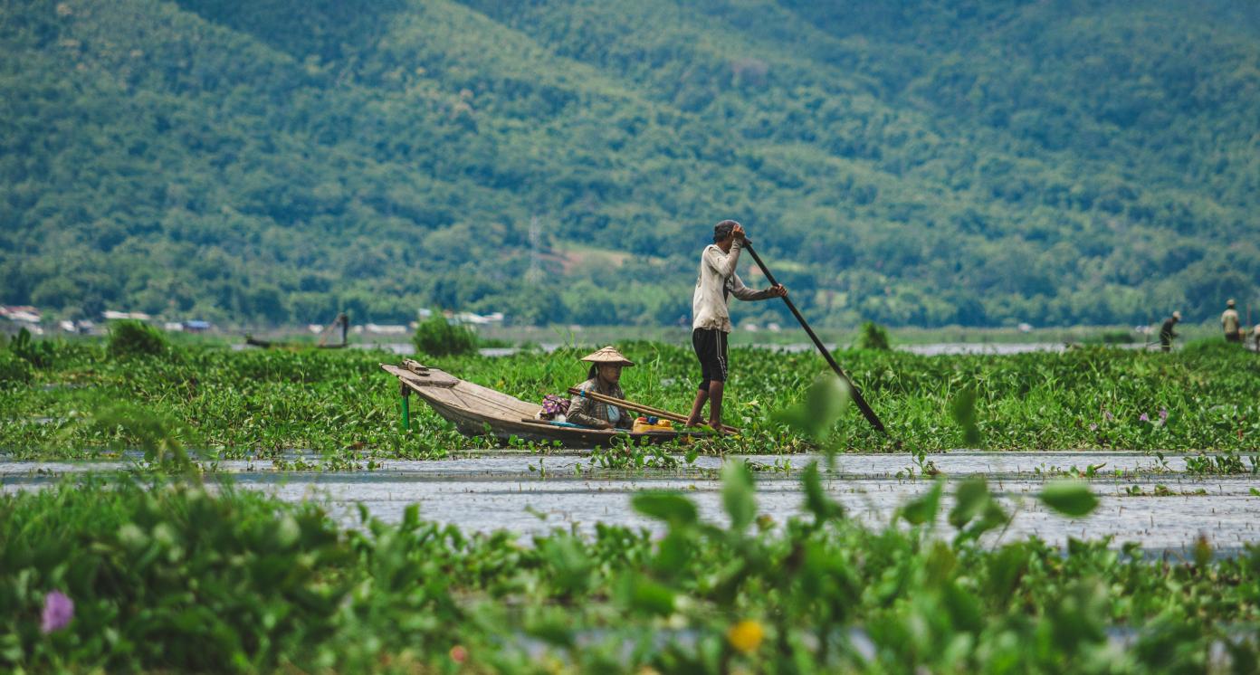 Farmer in a brown boat riding through paddy fields