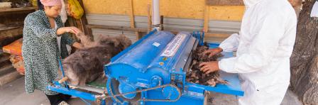 Wool Processing Employment Center for Rural Women