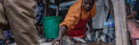 Affordable Financing Options for Artisanal Fishing