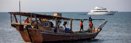 Fish board in the waters of Djbouti