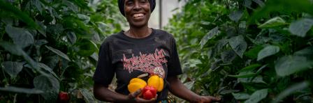 Fruit and Vegetable Processing