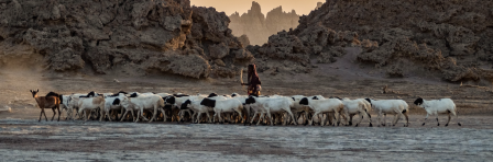 Lac Abbe, Djibouti