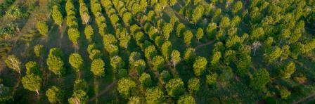 Solar Powered Irrigation Systems