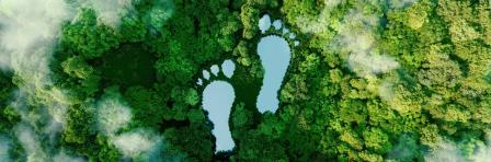 Sustainable Tourism