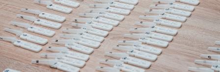 Production of Rapid Diagnostic Test for human papillomavirus (HPV)