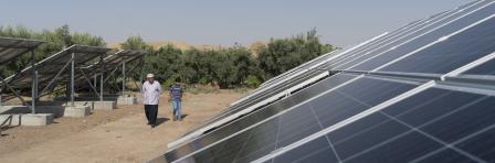 Utility-Scale Solar Farms