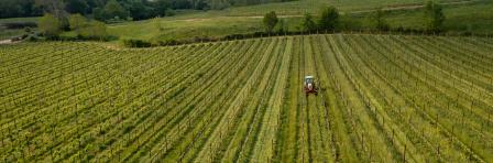 Agricultural field 