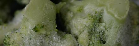 Frozen broccoli