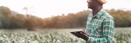 Farmer in field