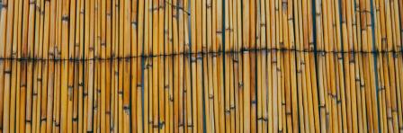 Bamboo wall