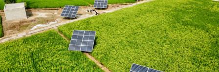 solar panels on a field