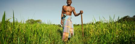 Farmer in Sri Lankan farmland